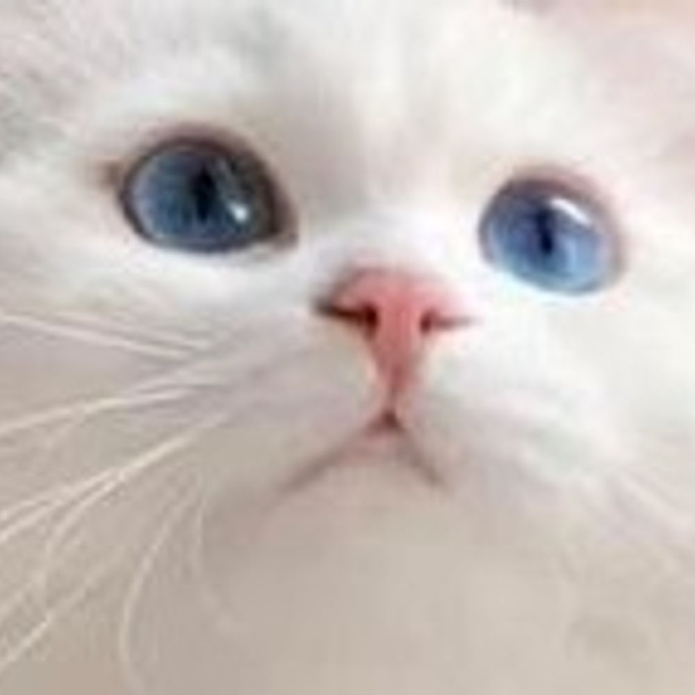 devoyeur
