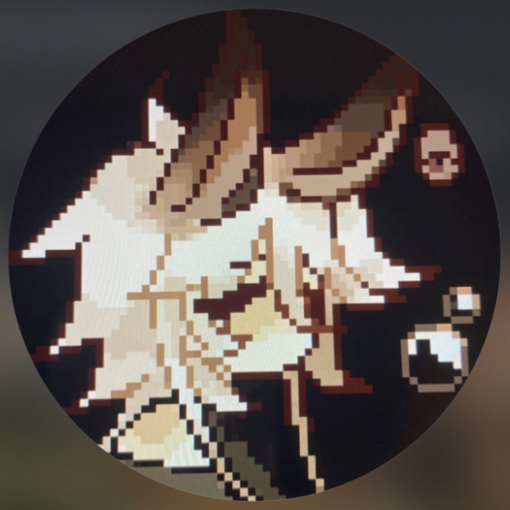⋄ wyvern ⋄