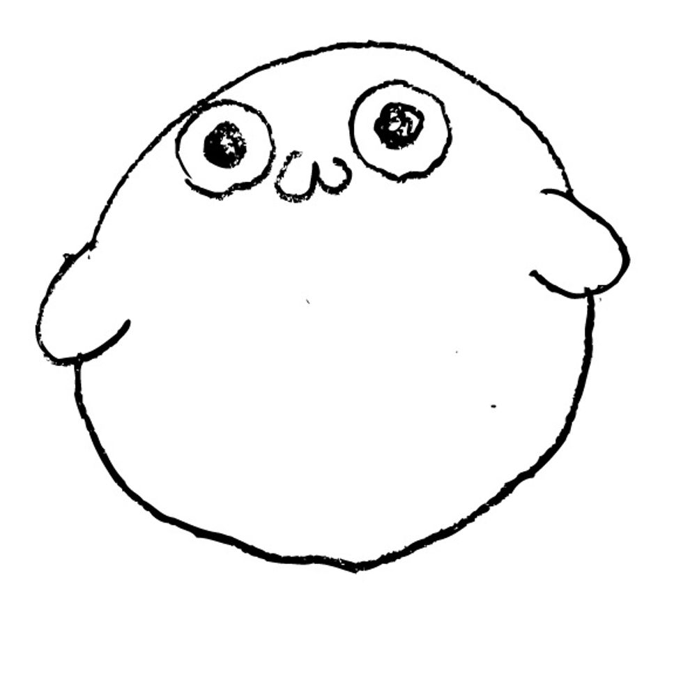 窓