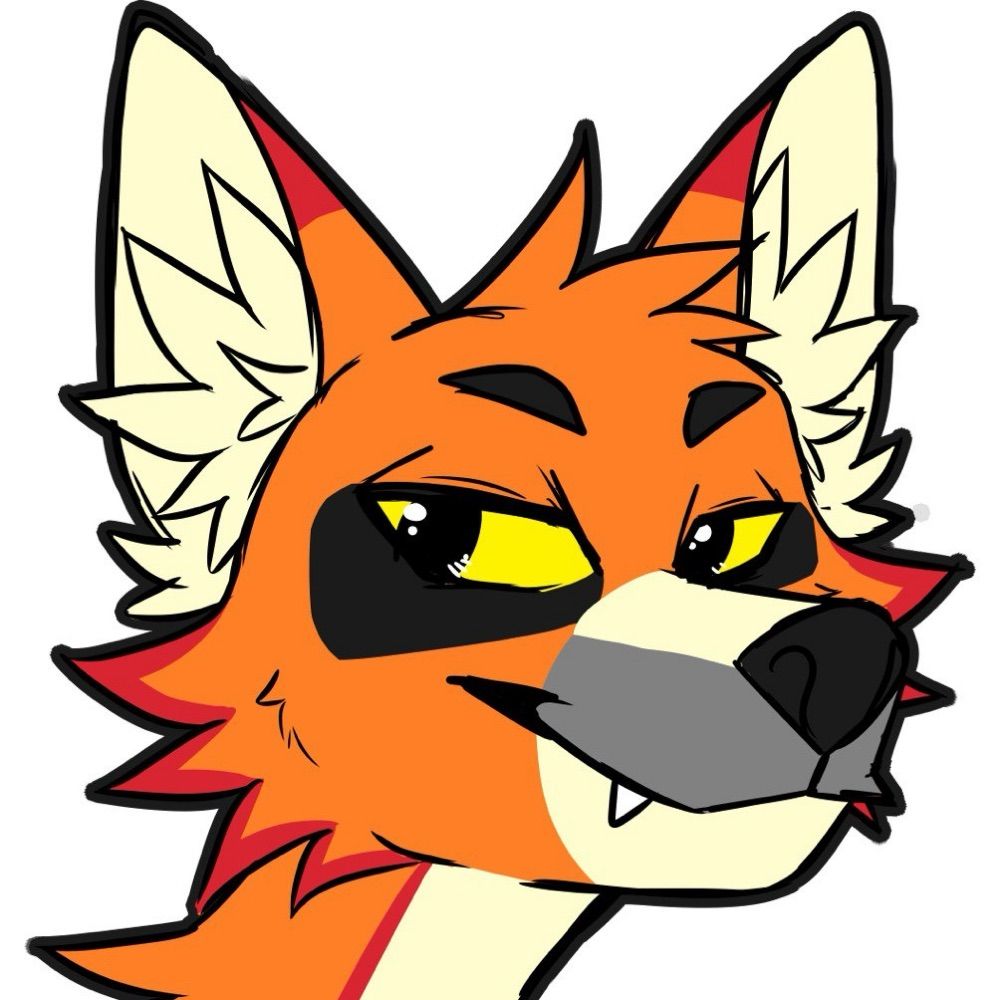 Maple 🦊🦝