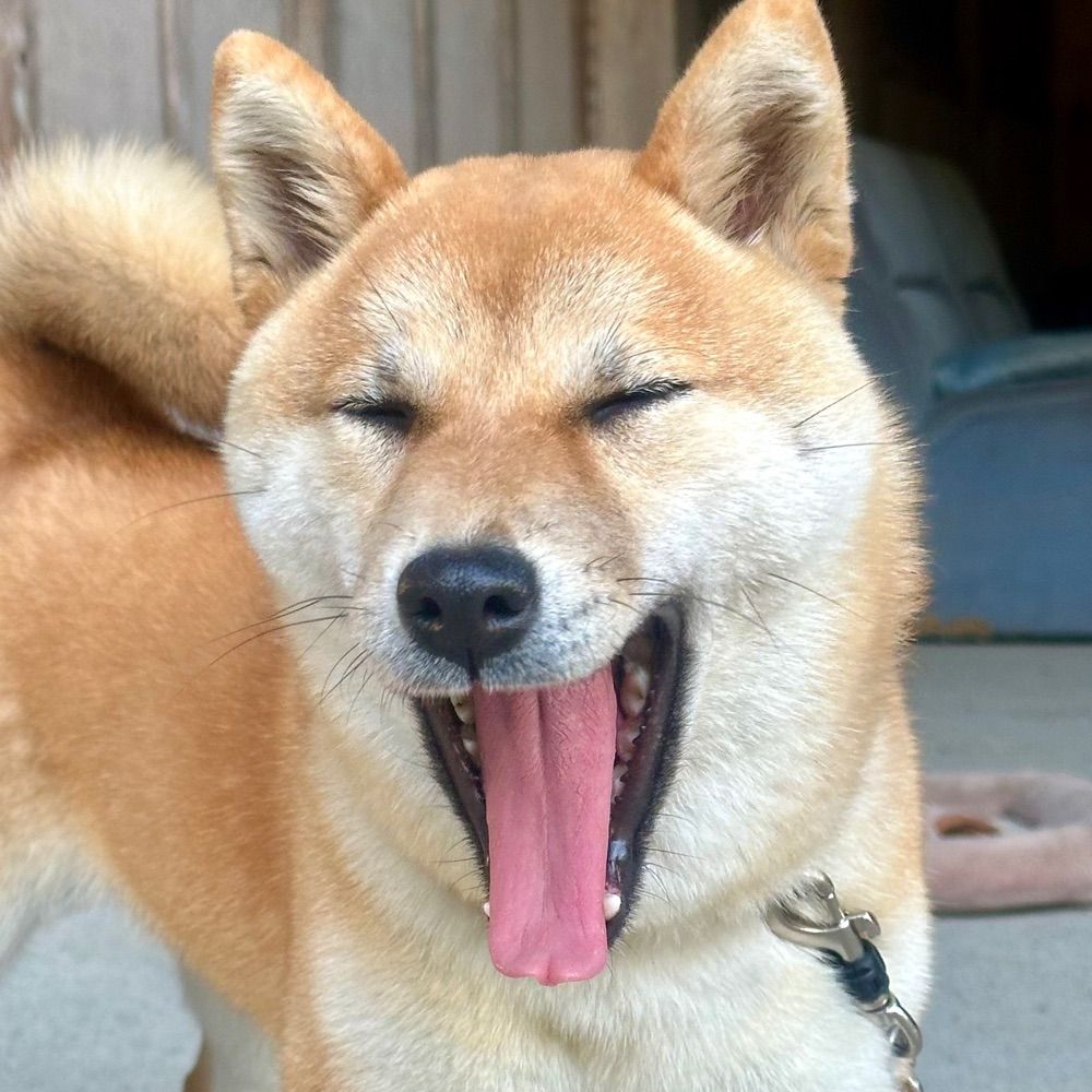 忠(ただ)