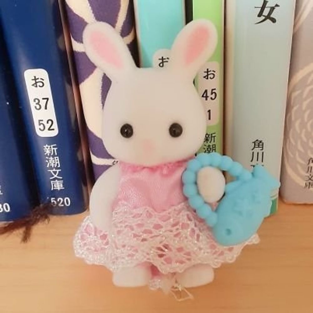 ぷけこ