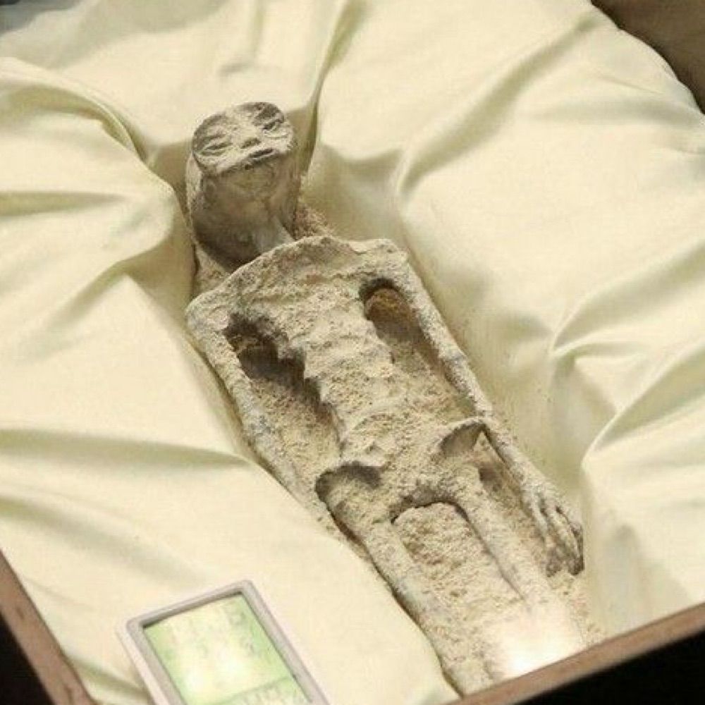 Nazca Mummies
