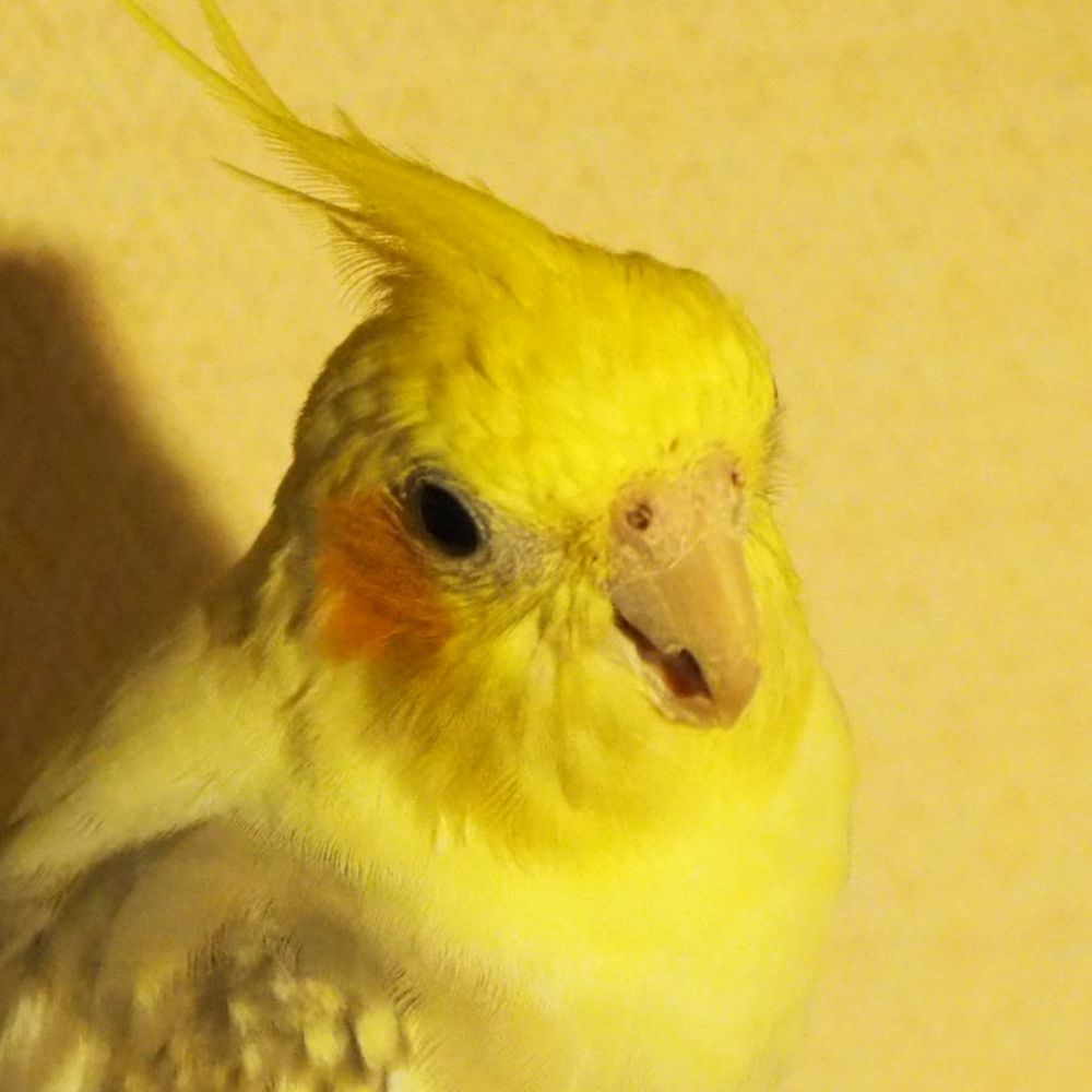 果ぼす