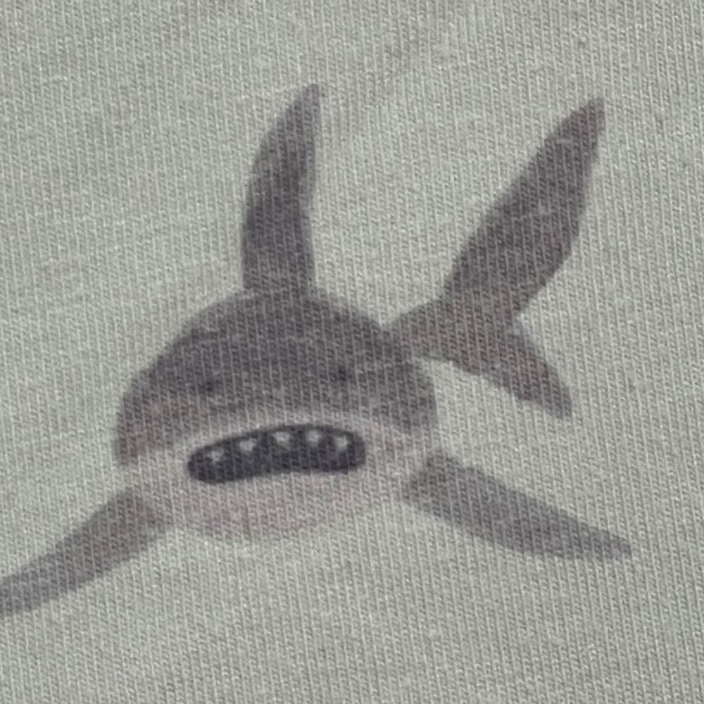 サメさん