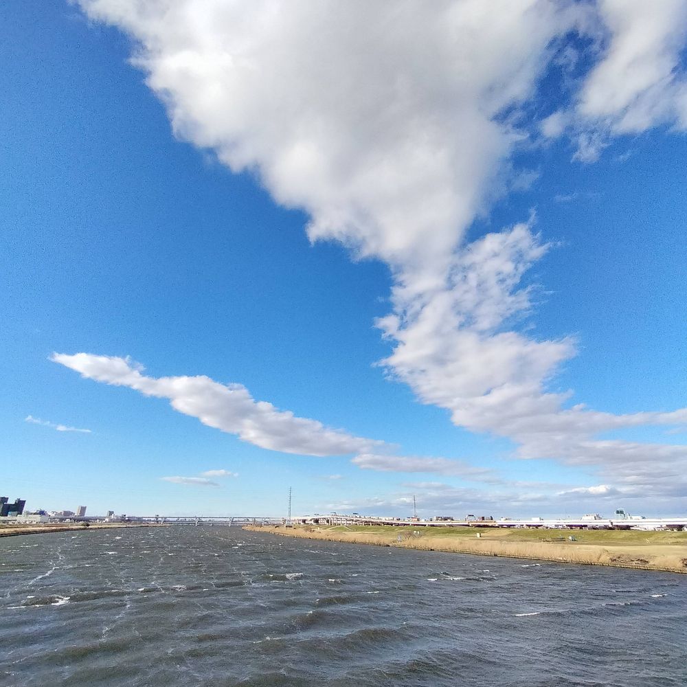 葛飾はる坊