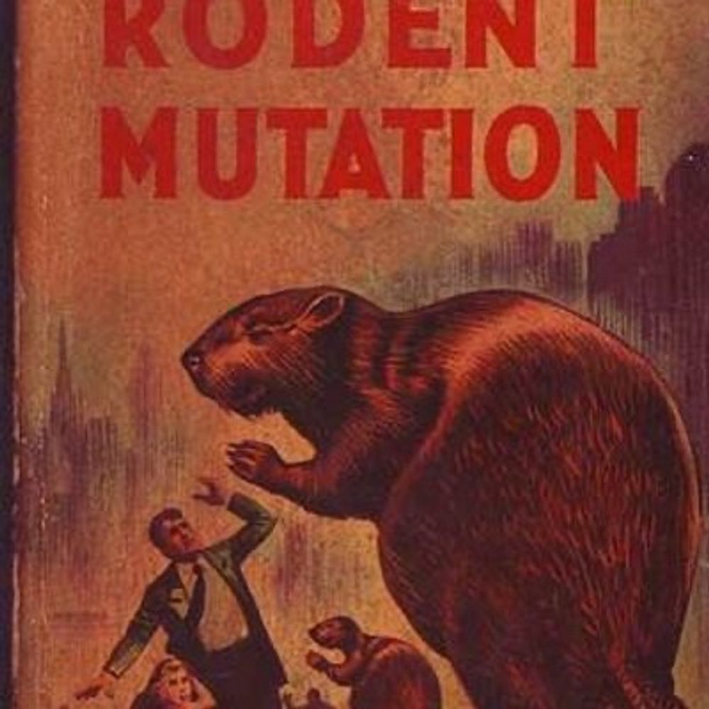 Giant Rat of Sumatra