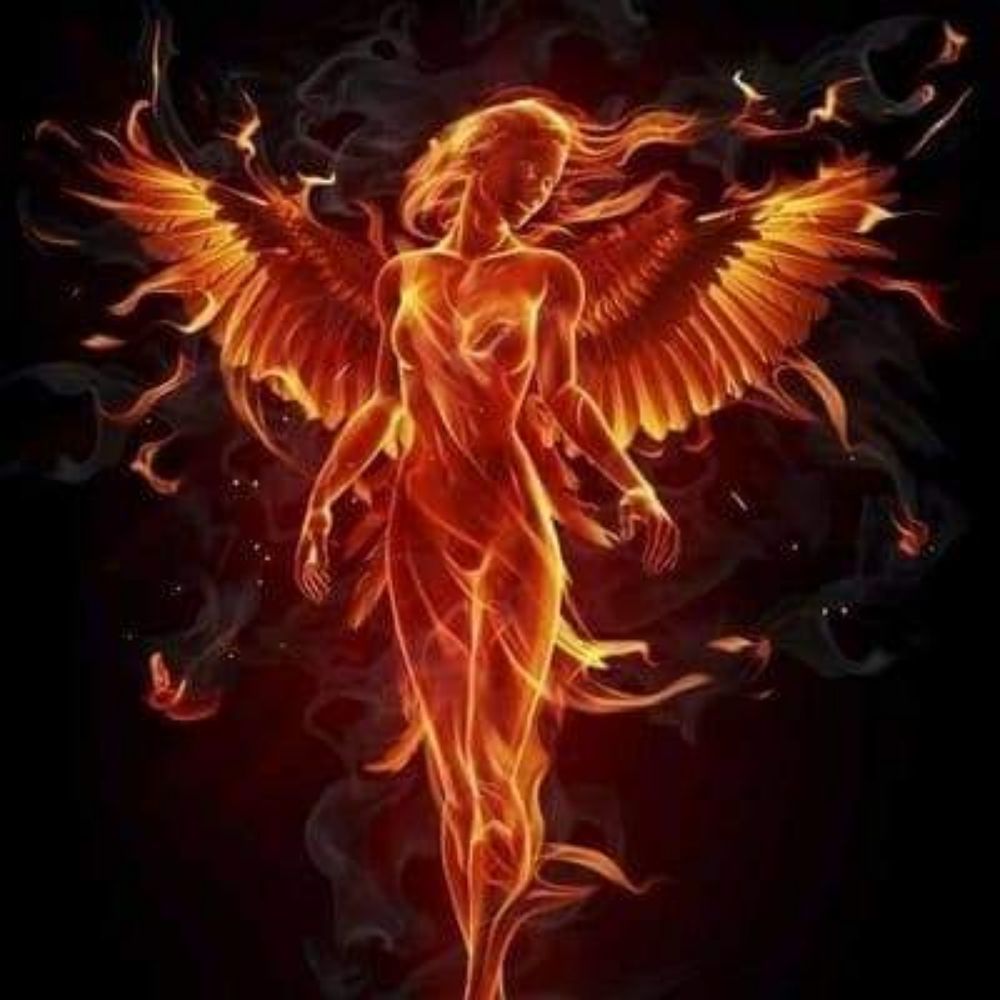 Ave Fenix