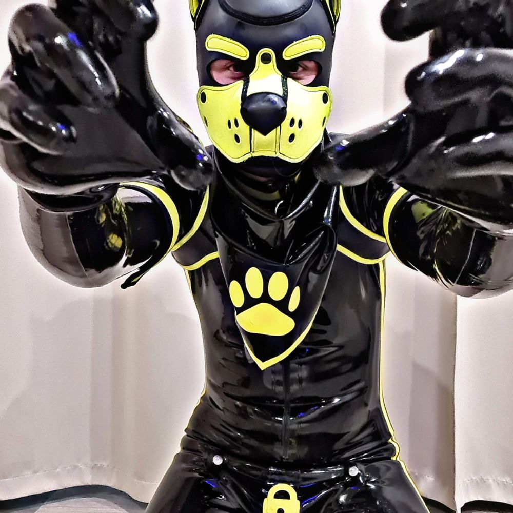 AntauryPup🐶🐾