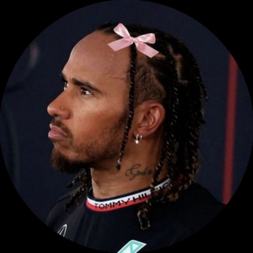 userhamilton.teamlh.social profile picture