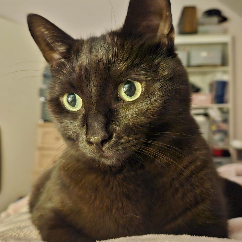 Amanda