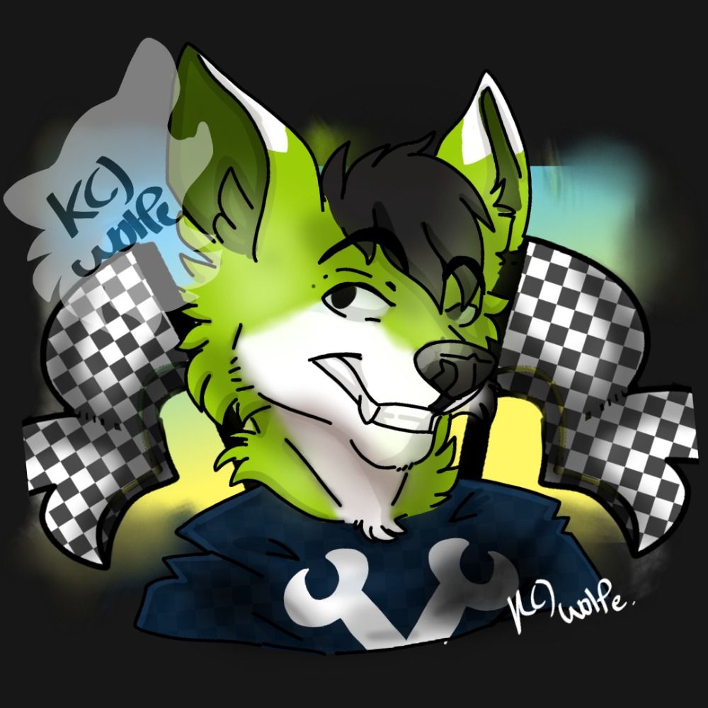 Backspin Fox's avatar
