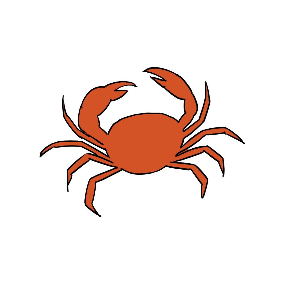 マトン