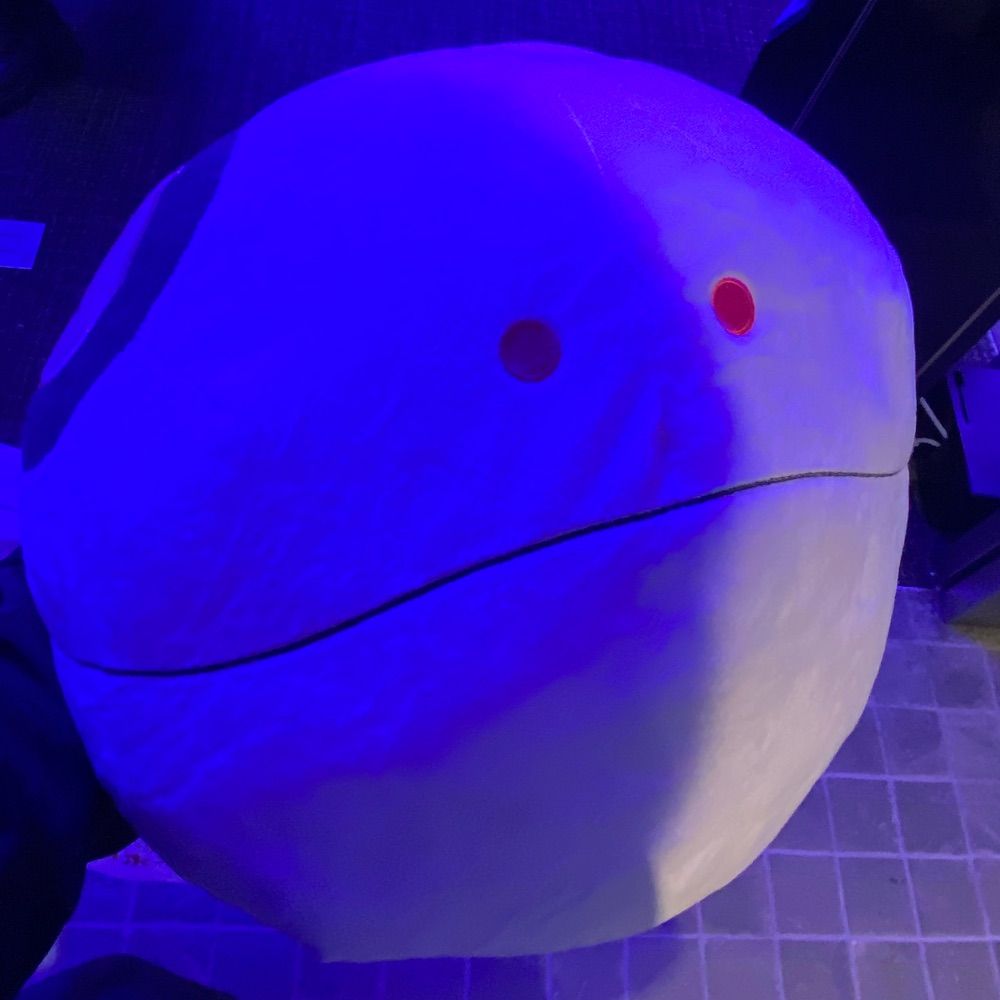 ｽｽﾞｷ