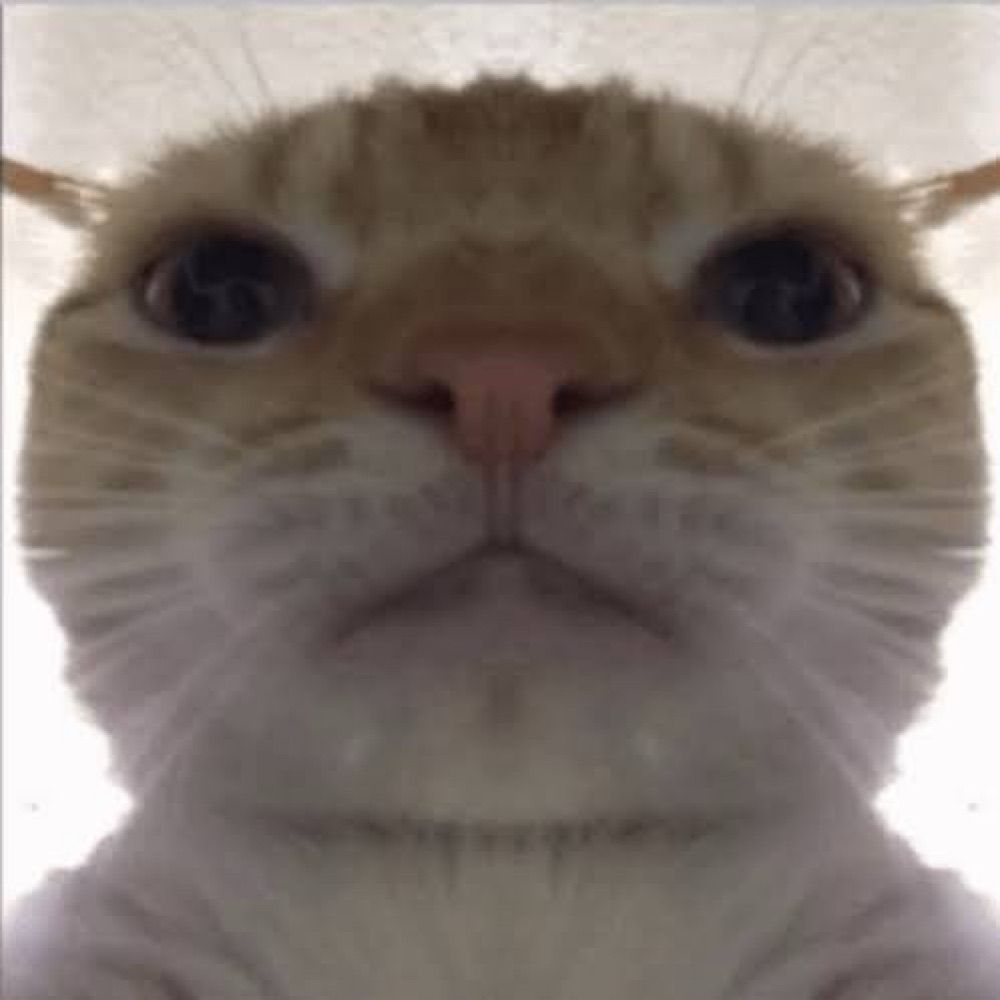 N 🤠