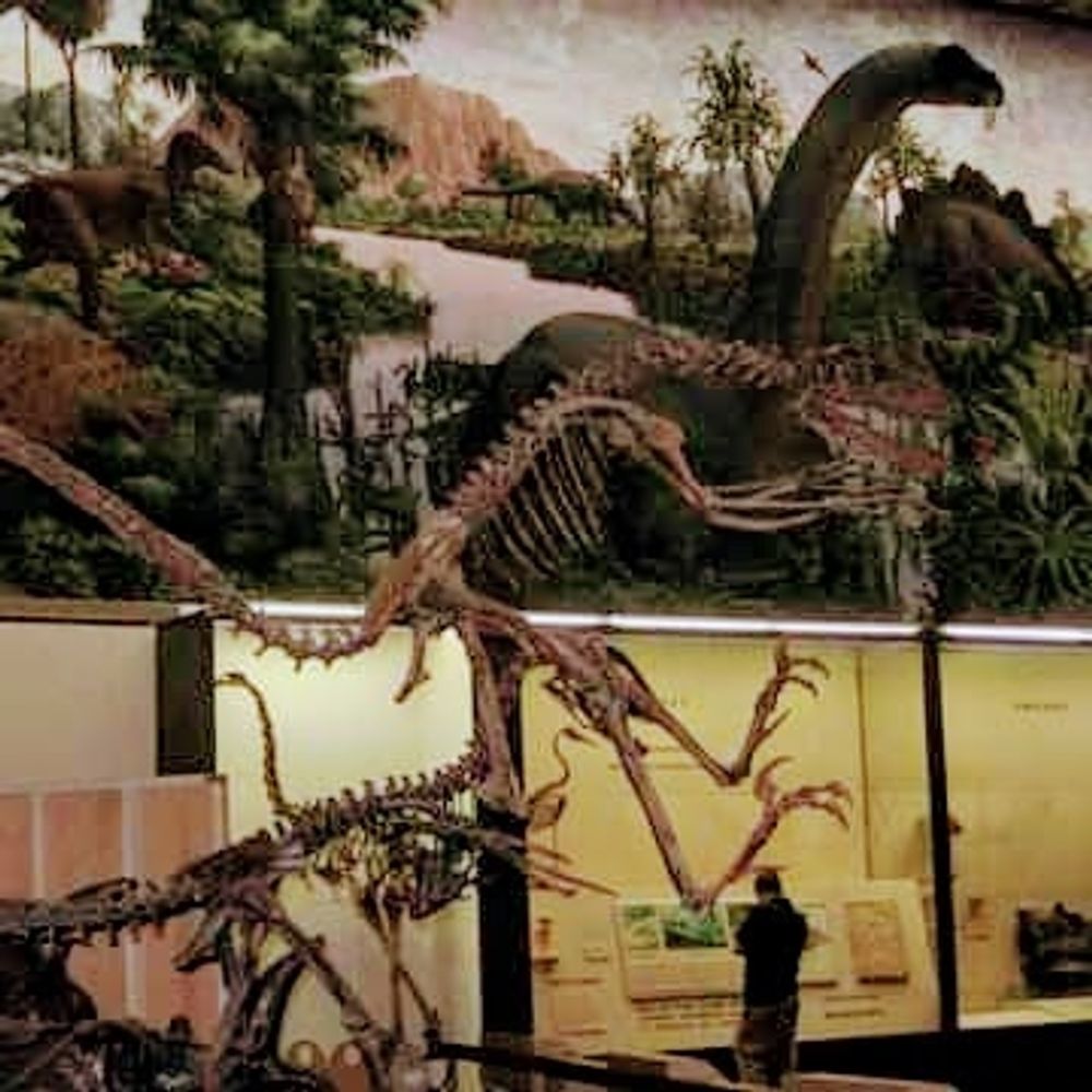 dinoloverx2.bsky.social profile picture
