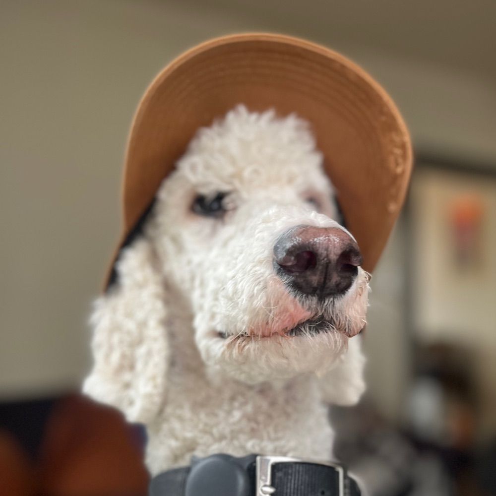Bobby Trick