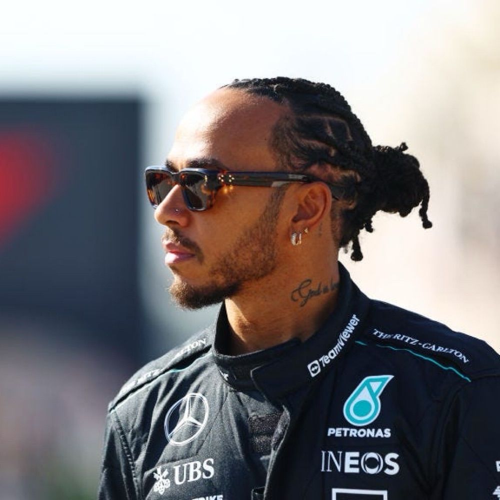 Lewis Hamilton(not real)
