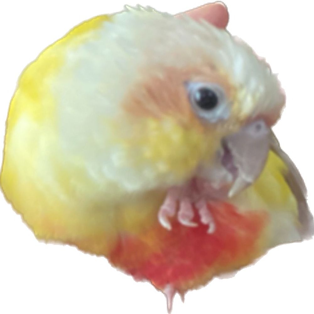 チエゾン