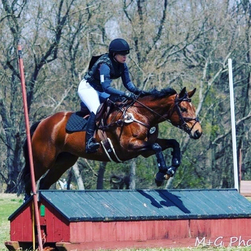 Heather Tighe