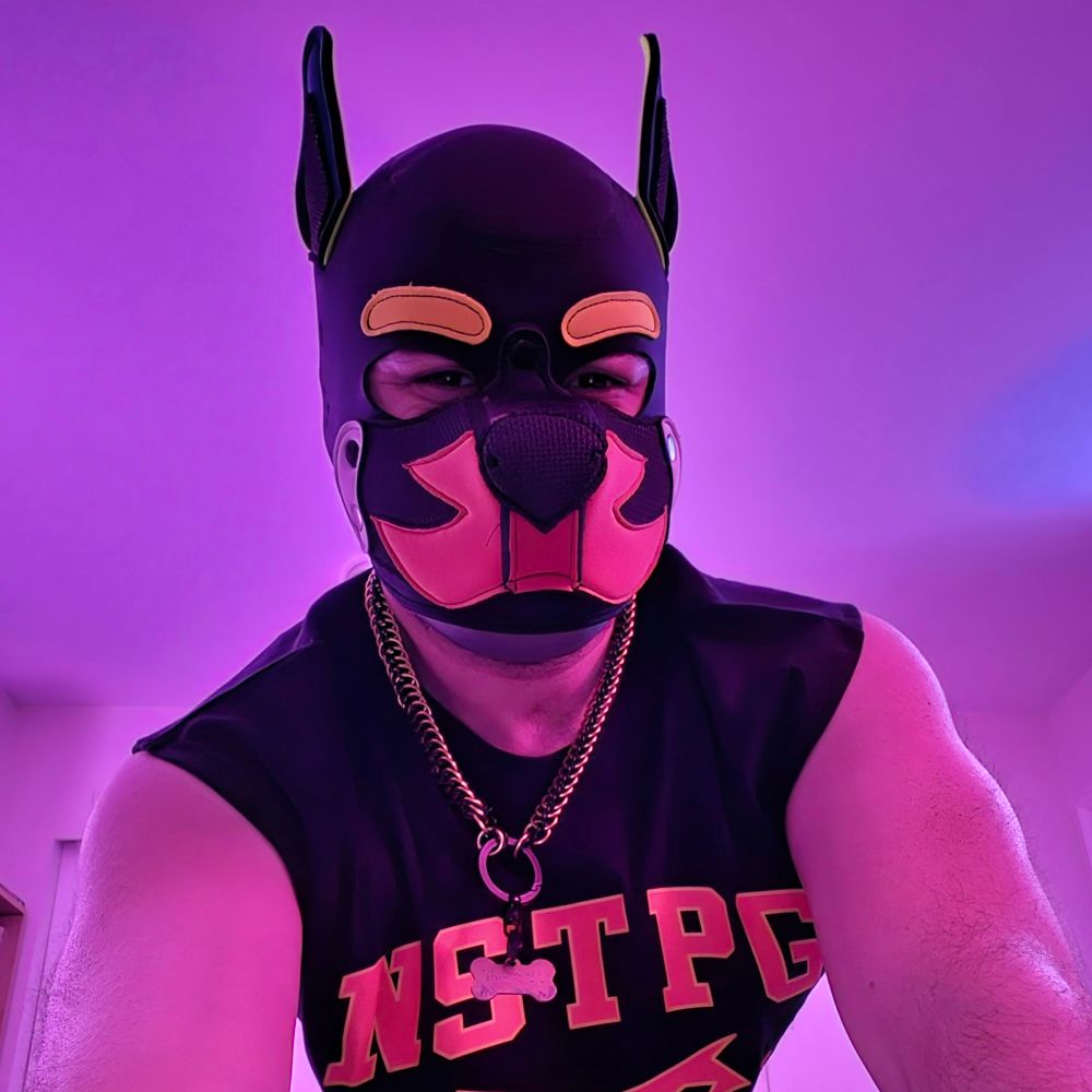 Pup Tadashi ただし