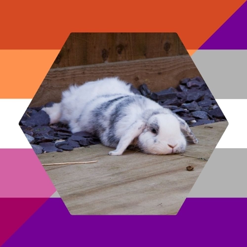 pennelope.girlypop.baby profile picture