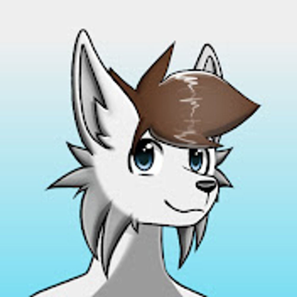 Profile picture wolfoxxreacts.bsky.social