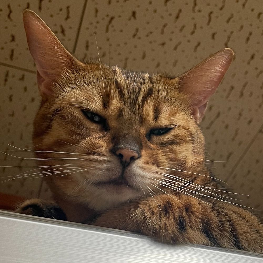 のば（たきの）