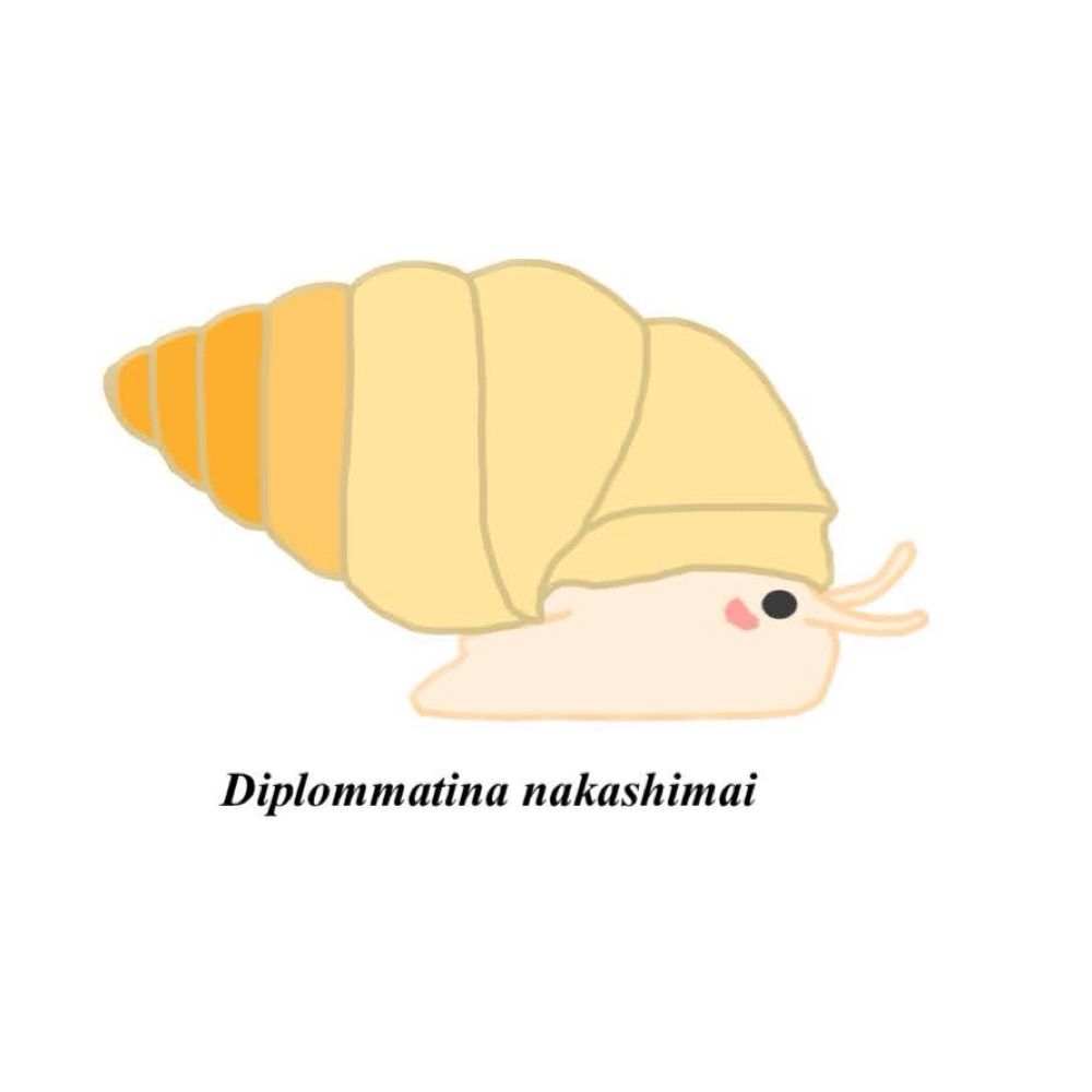 さうす
