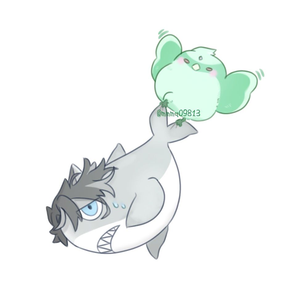 海月
