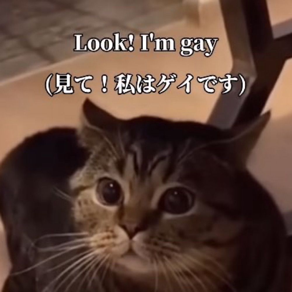頭がおかしい