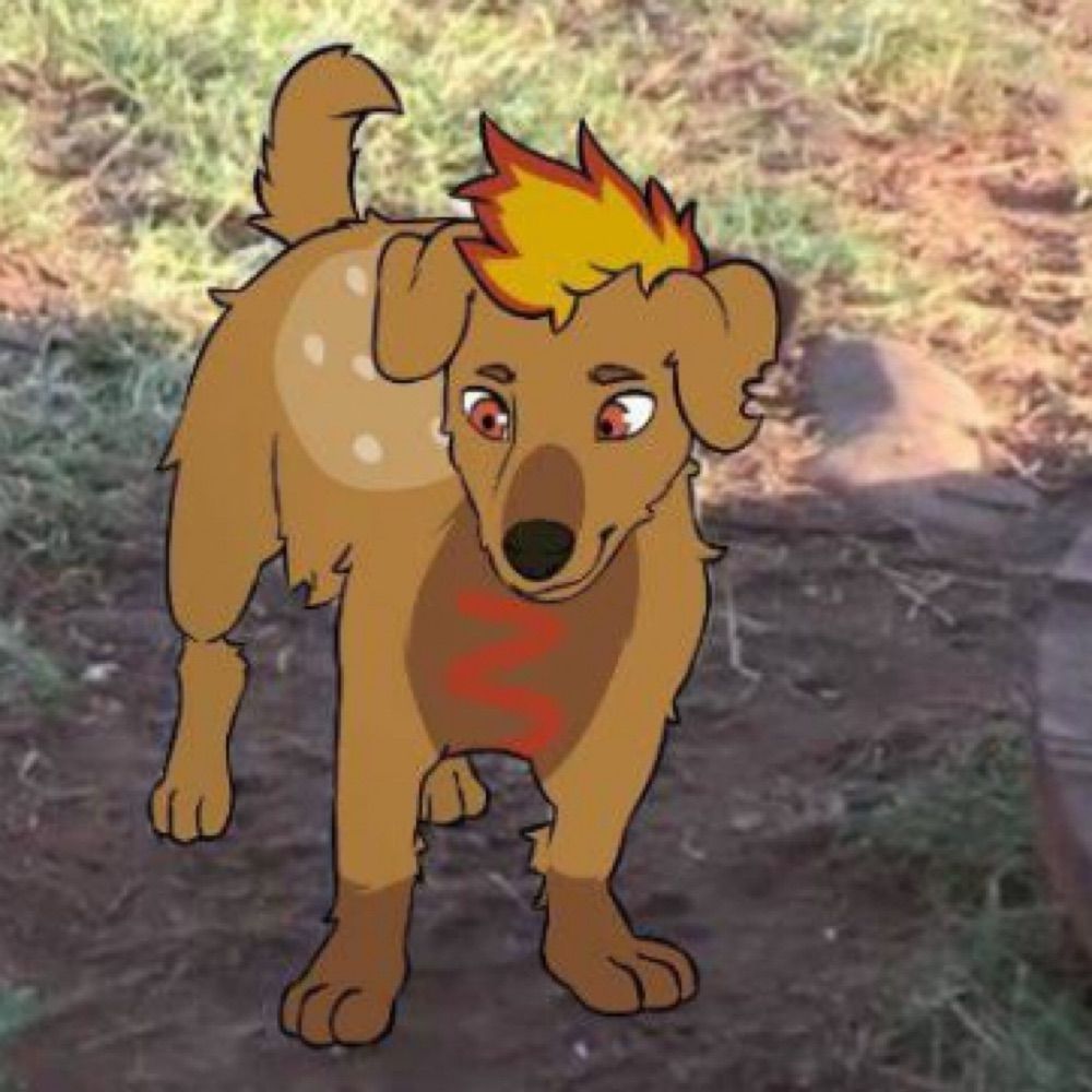 Schnitz