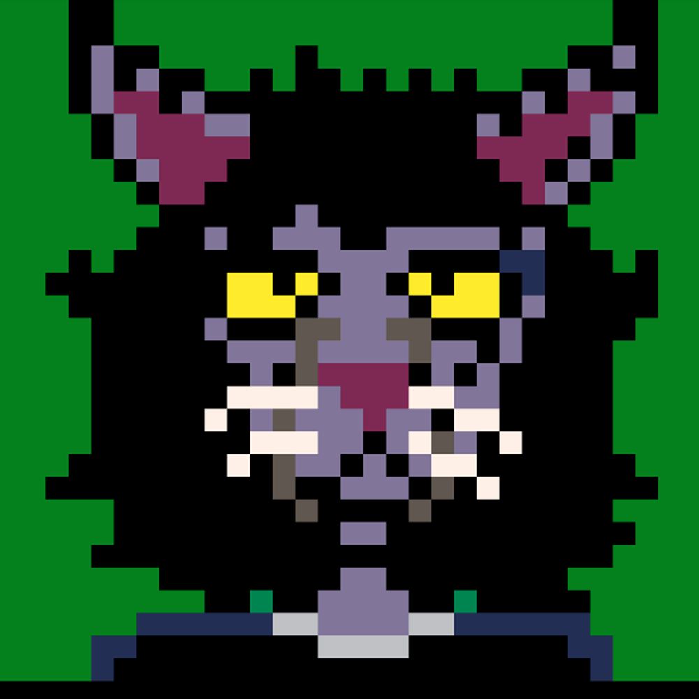 Laura the owlcat 🏳️‍⚧️