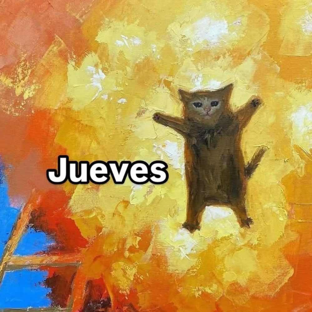 Vi