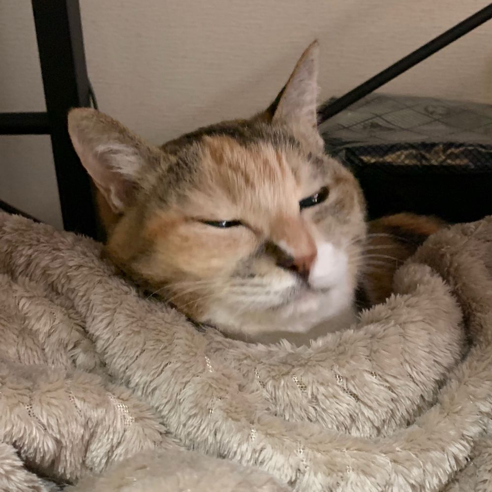 いいだ
