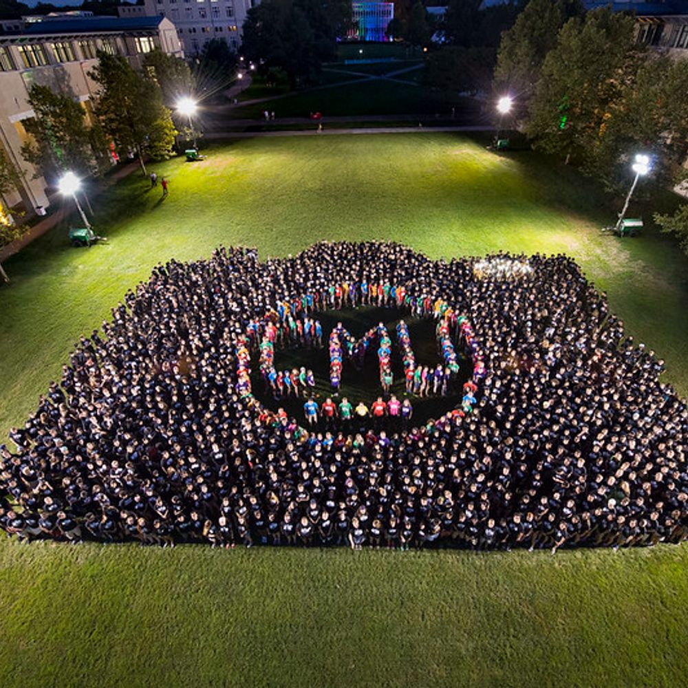 CMU MLD