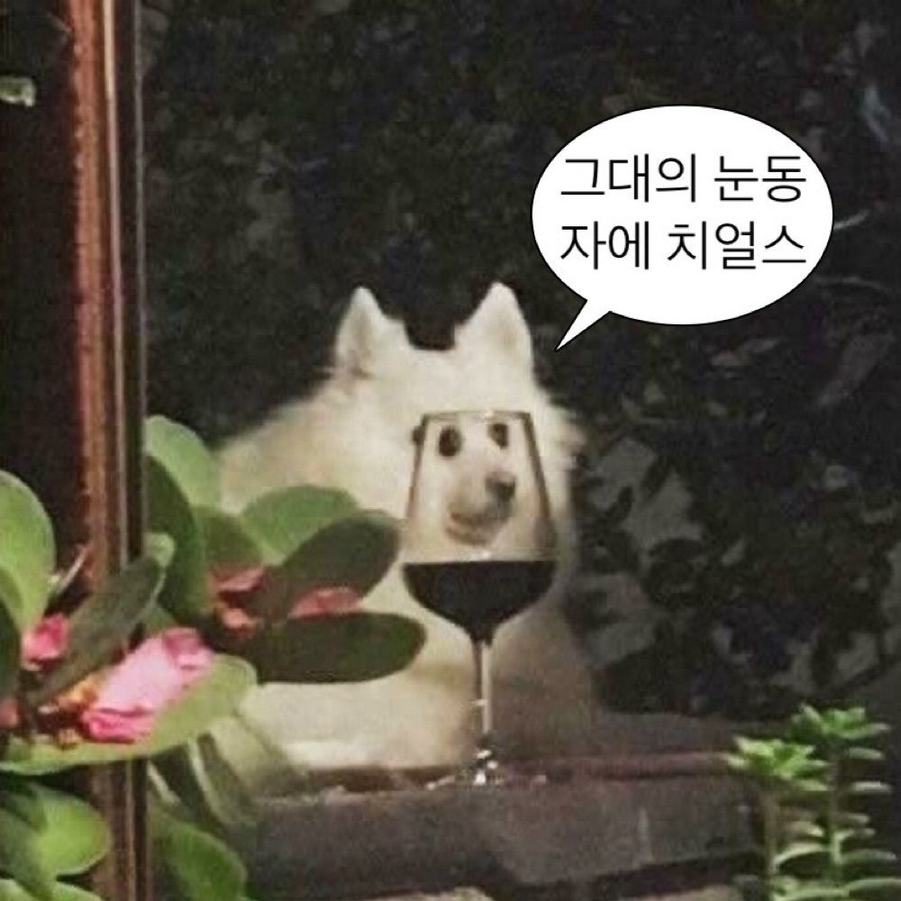 쩨