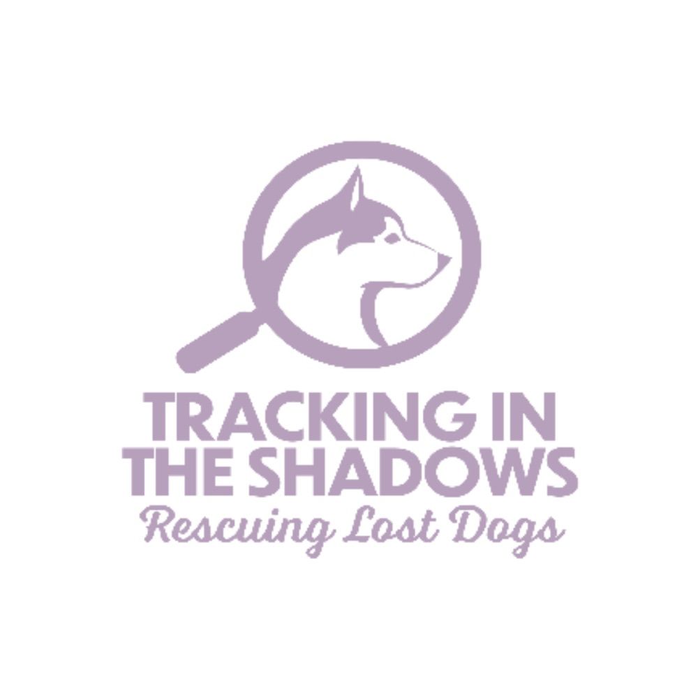 Tracking in the Shadows