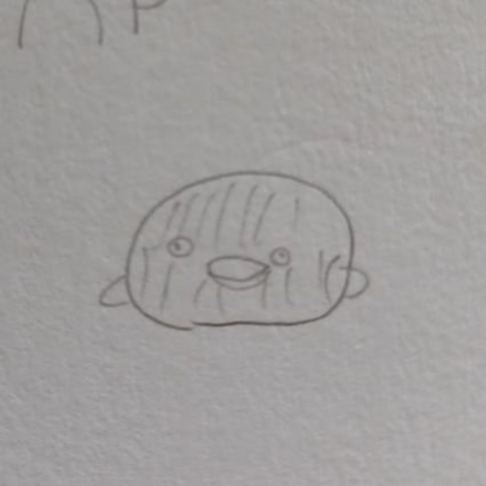 K。