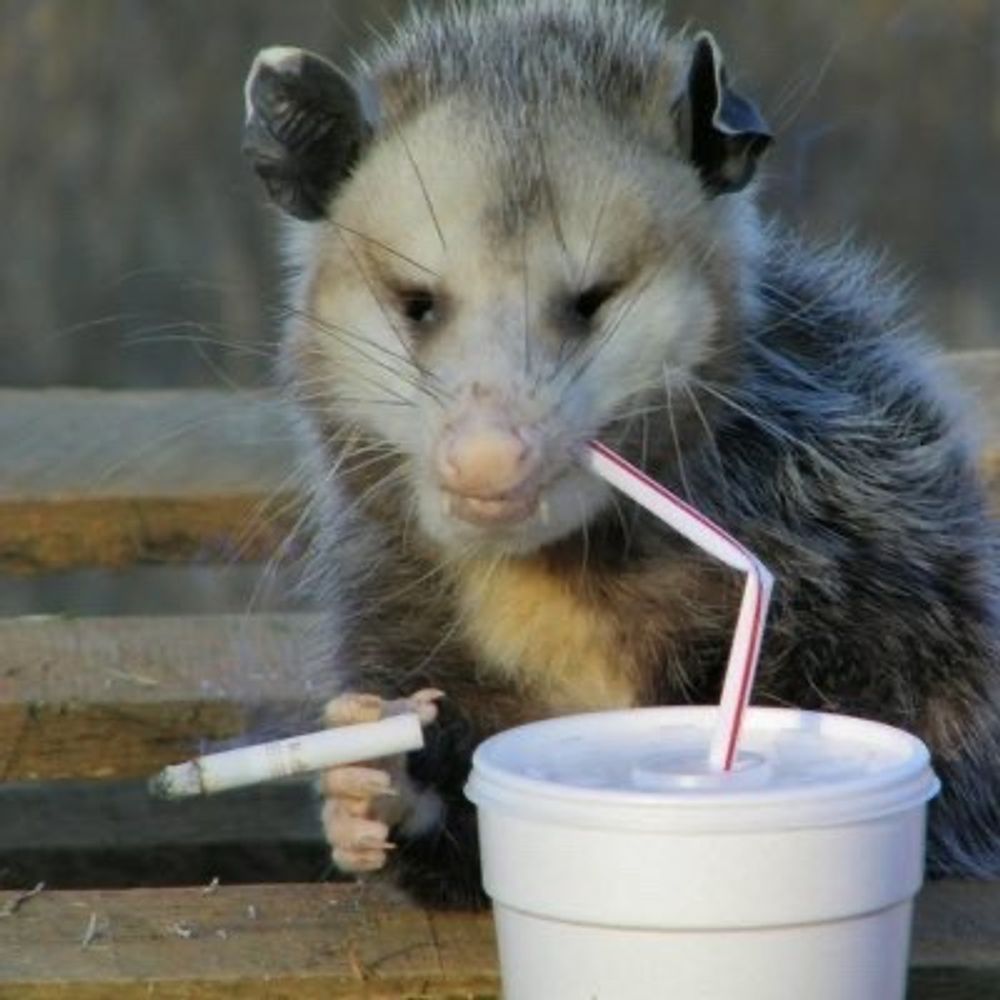 ChillDozer