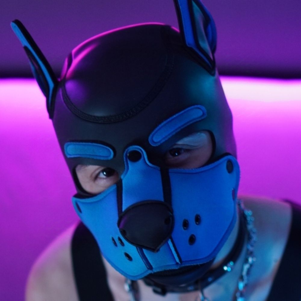 Pup_Pux