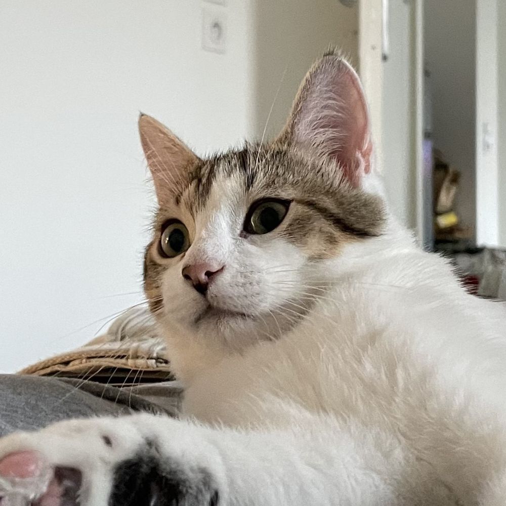 Manu