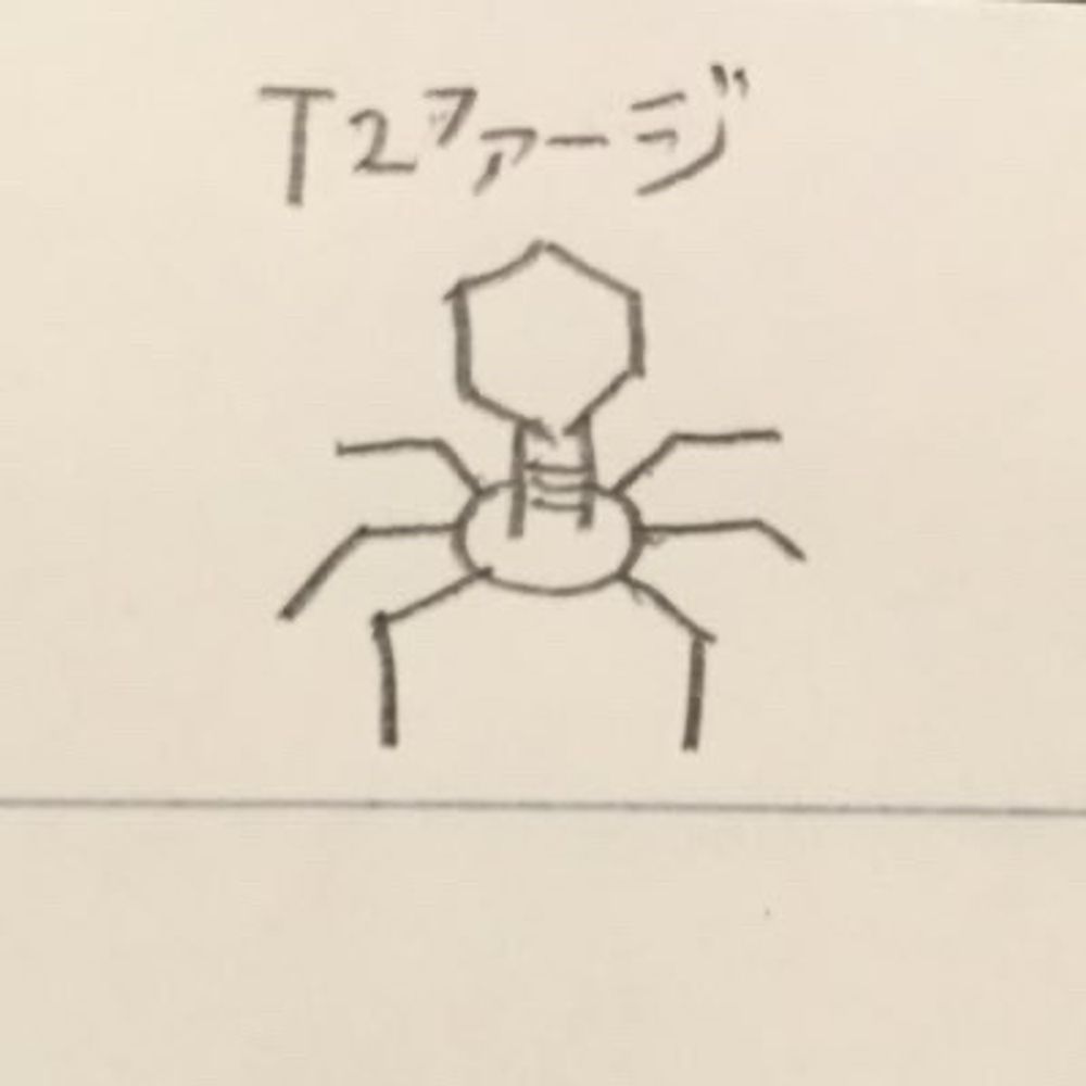 T2ファージ