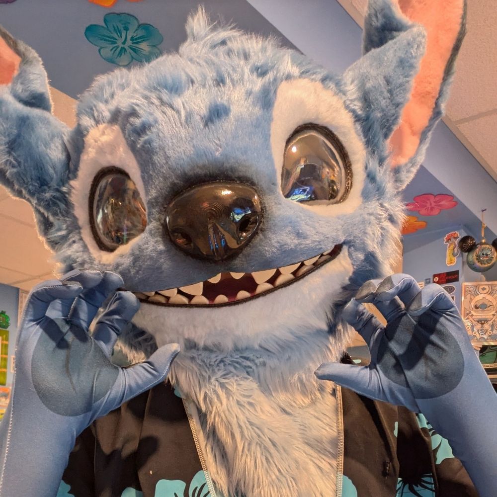 Stitch