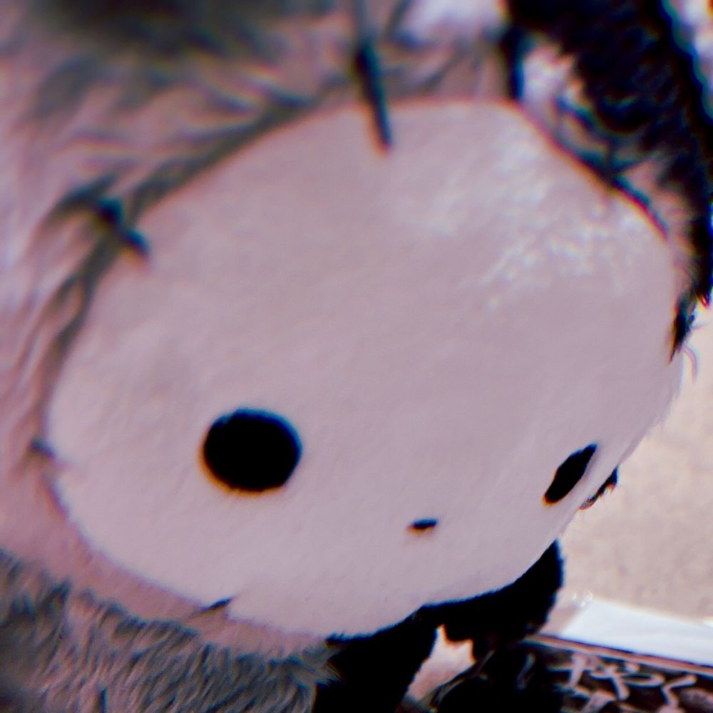 しとど ひな