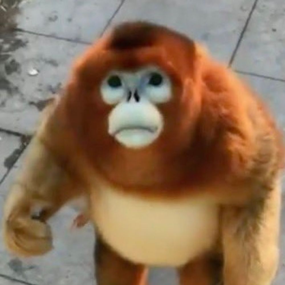 fucked up and goofy creature
