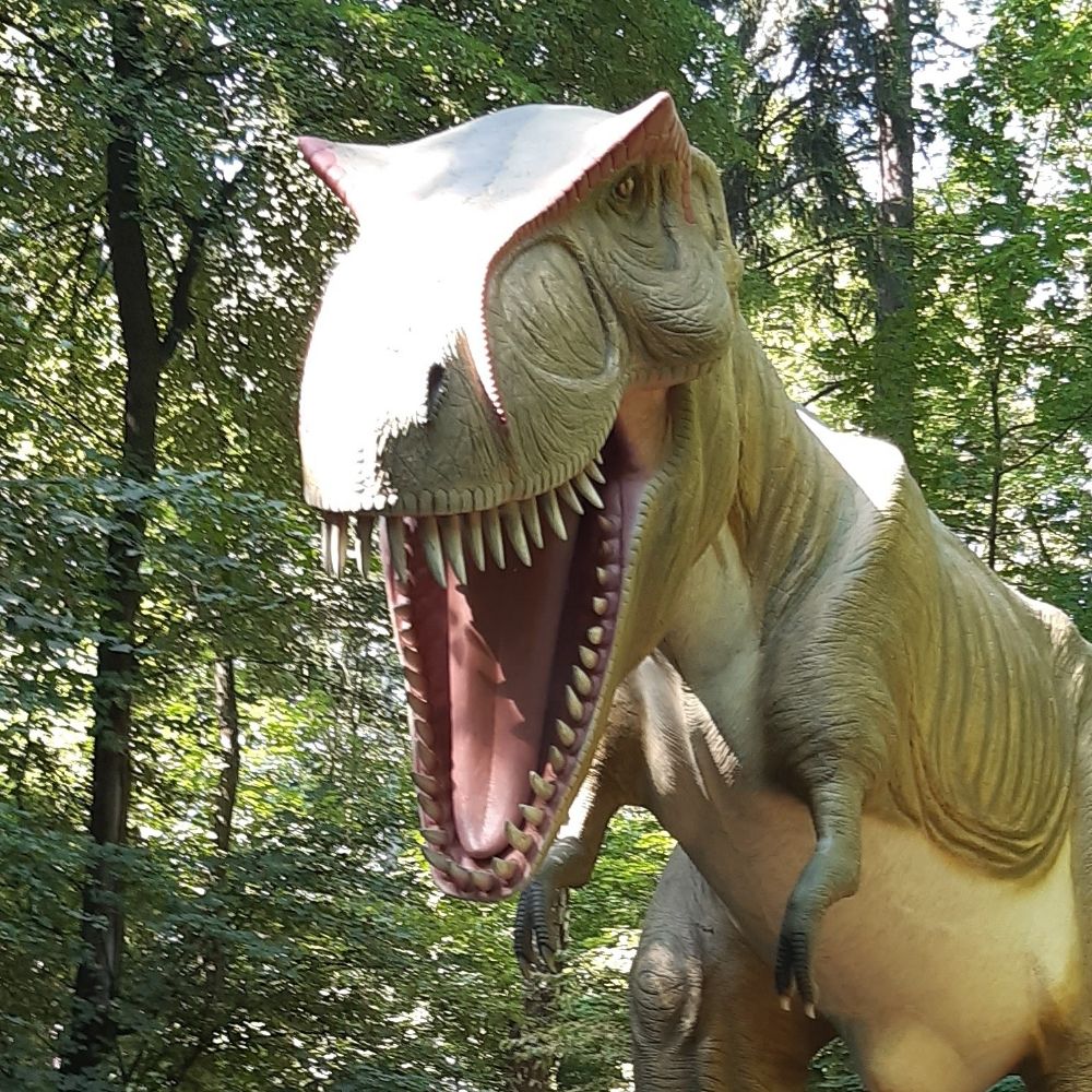 Piotrek