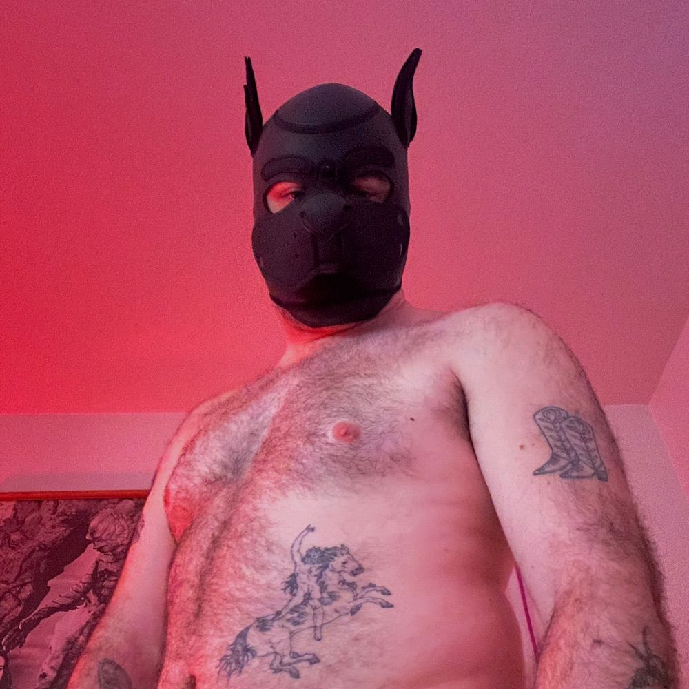 pup phantom