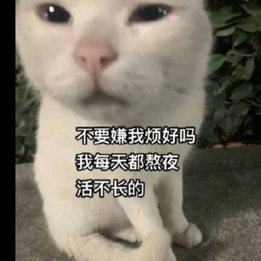 人生一二