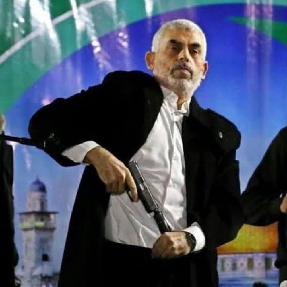 قرصان متباعد 🏴‍☠️